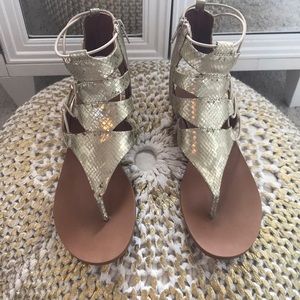 Aldo Gladiator Sandals